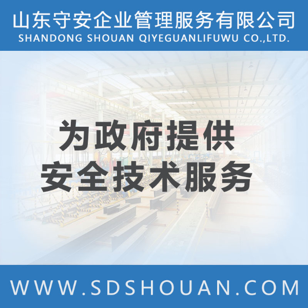 为政府提供安全技术服务