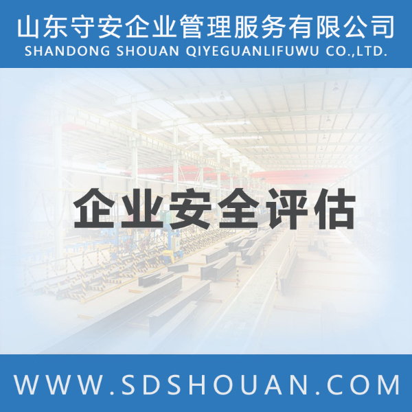 企业安全评估